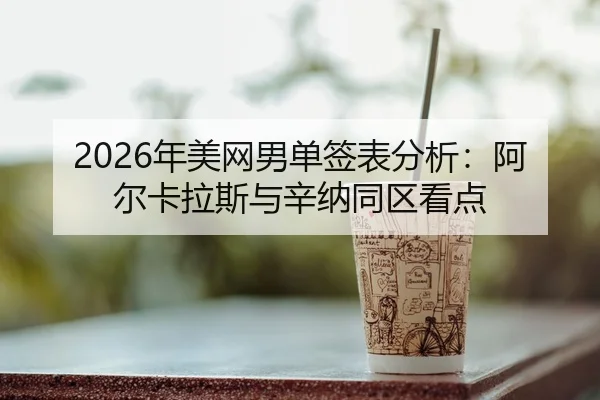 nian-mei-wang-nan-dan-qian-biao-fen-xi-a-er-ka-la-si-yu-xin-na-tong-qu-kan-dian-3-881.jpg